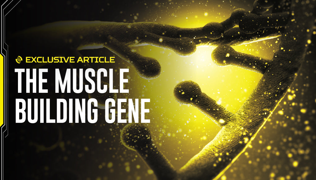 THE MUSCLE BUILDING GENE: IS YOUR DNA HOLDING BACK YOUR PROGRESS?